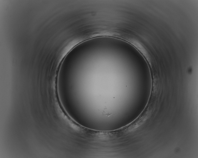 X0000093450906200710191100