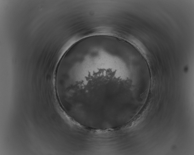 X0000093450907200710191100