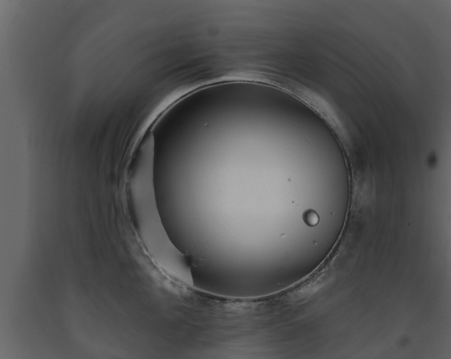 X0000093450908200710191100