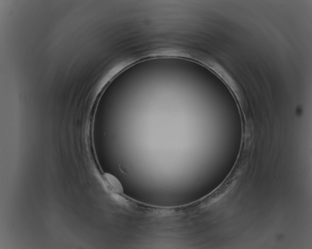 X0000093450909200710191100