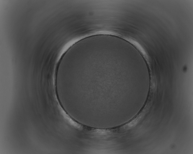 X0000093450910200710191100