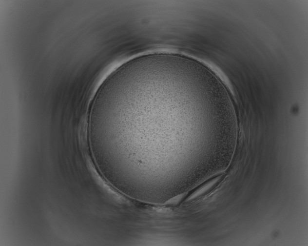 X0000093450911200710191100