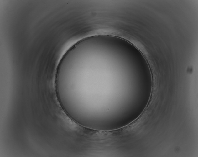 X0000093450912200710191100