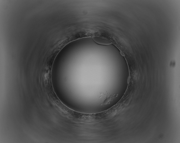 X0000093450914200710191059