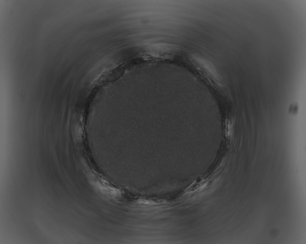 X0000093450915200710191059