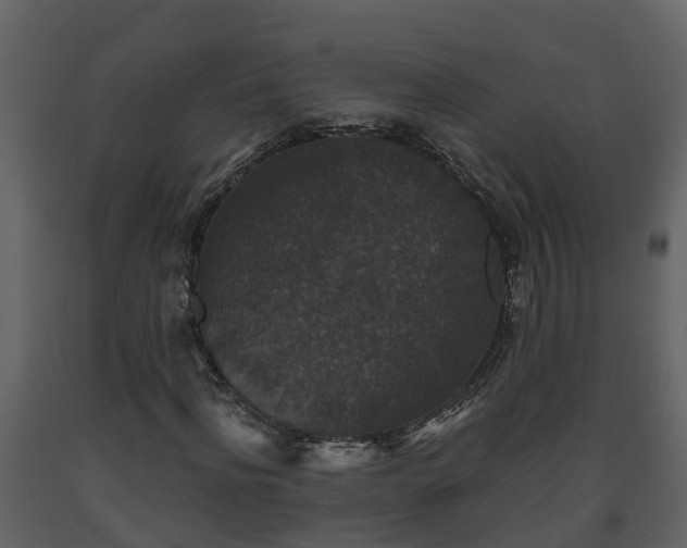 X0000093450916200710191059