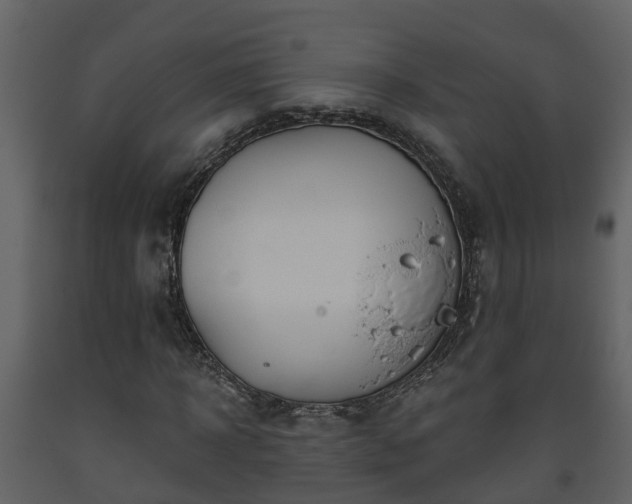 X0000093450918200710191059