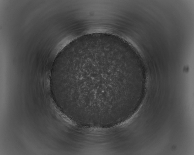 X0000093450921200710191059