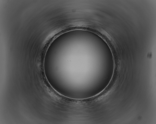 X0000093450922200710191059