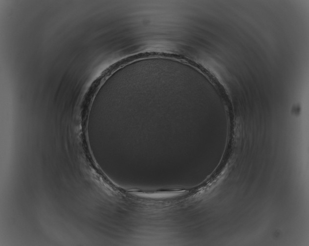 X0000093450923200710191059