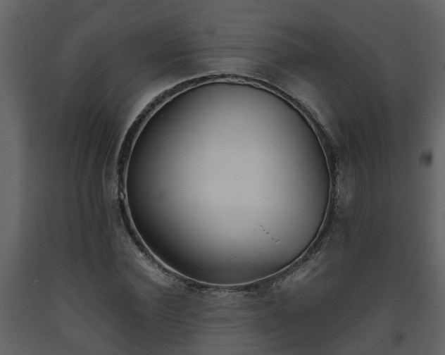 X0000093450924200710191059