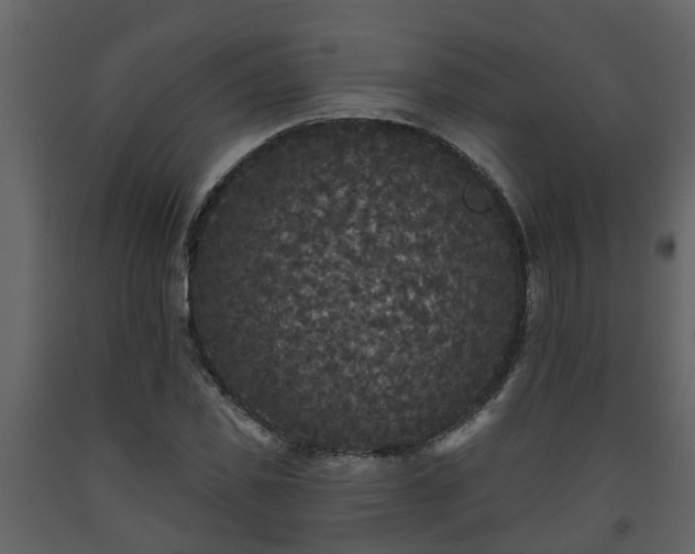 X0000093450925200710191059