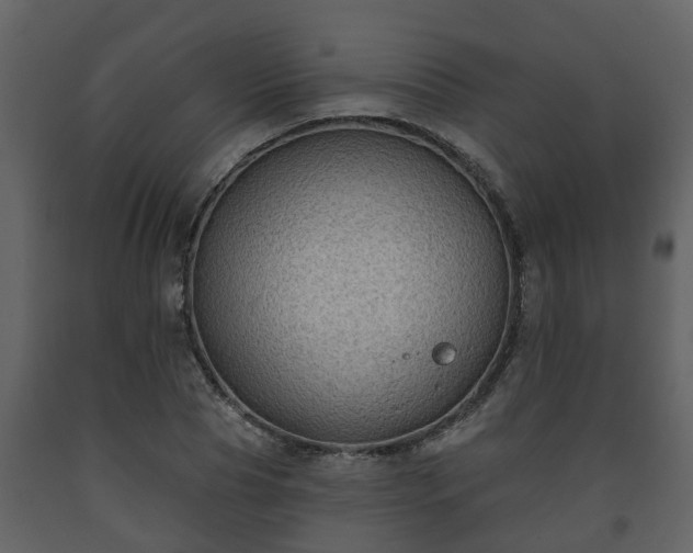 X0000093450929200710191059