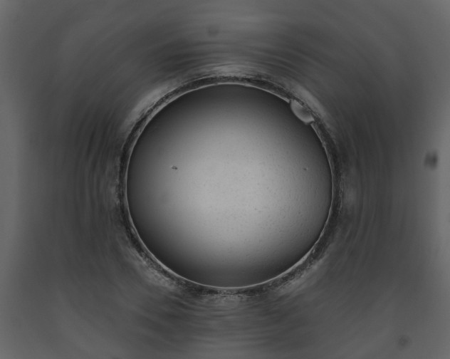 X0000093450930200710191059