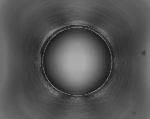 X0000093450931200710191059