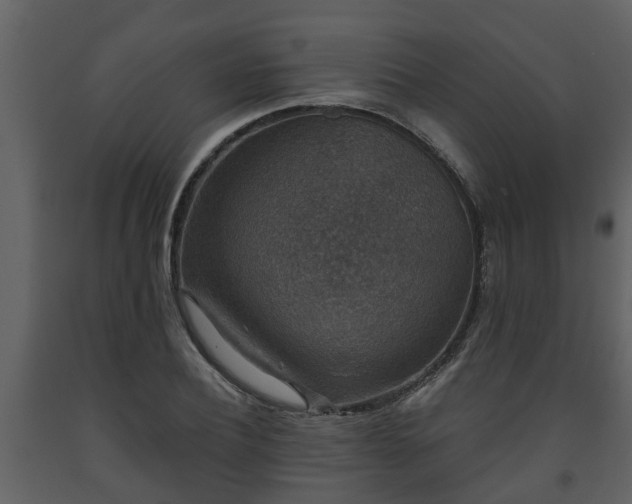 X0000093450932200710191059