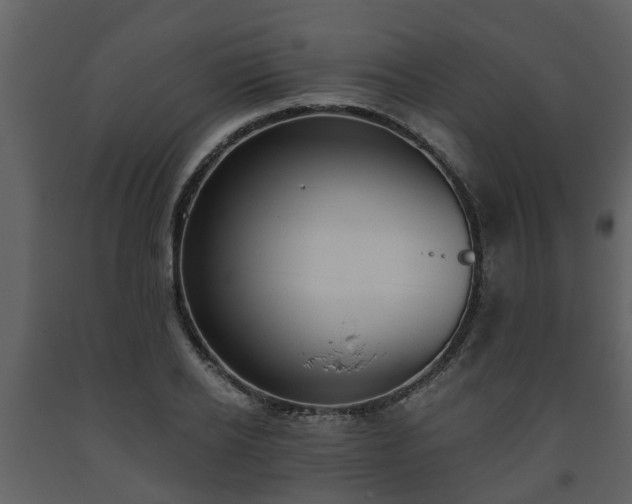 X0000093450934200710191059