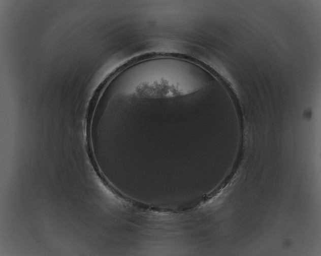 X0000093450935200710191059