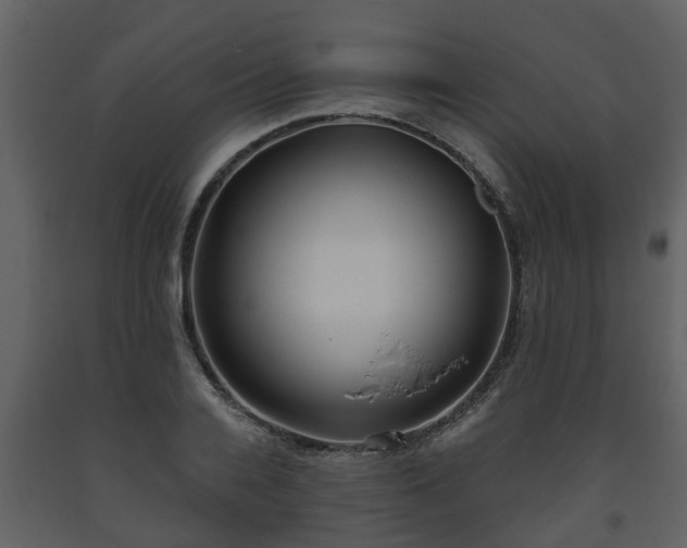 X0000093450936200710191059