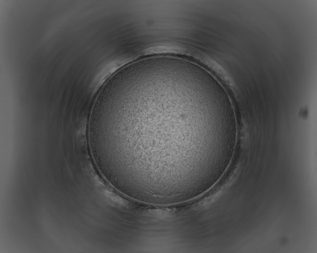 X0000093450937200710191059