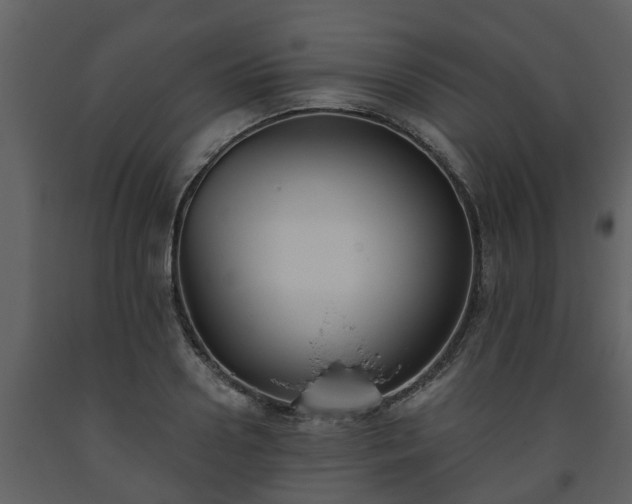 X0000093450938200710191059