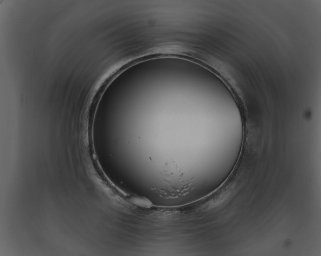 X0000093450939200710191059