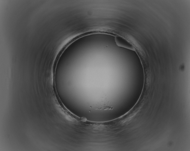 X0000093450940200710191059