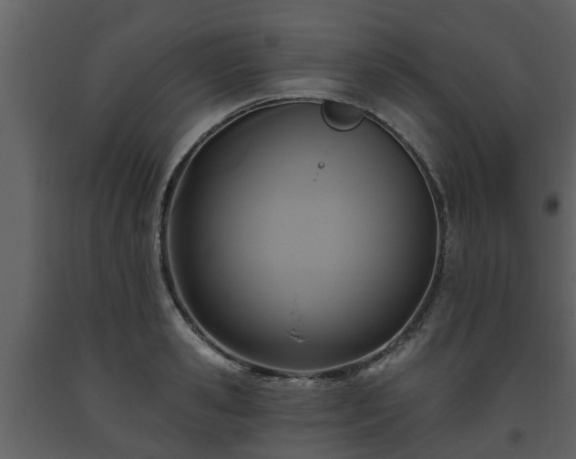 X0000093450941200710191059