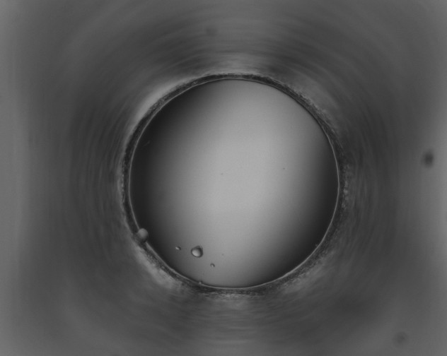 X0000093450942200710191100