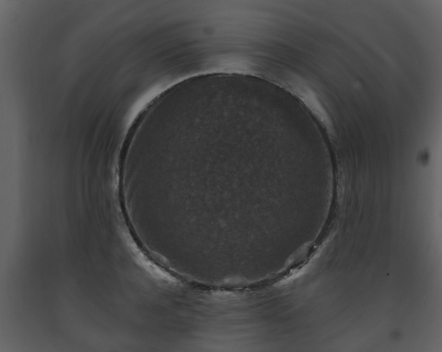 X0000093450944200710191100