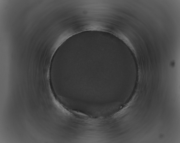 X0000093450946200710191100