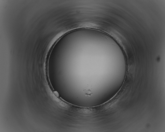 X0000093450947200710191100