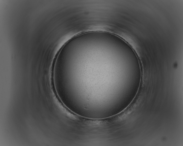 X0000093450949200710191100