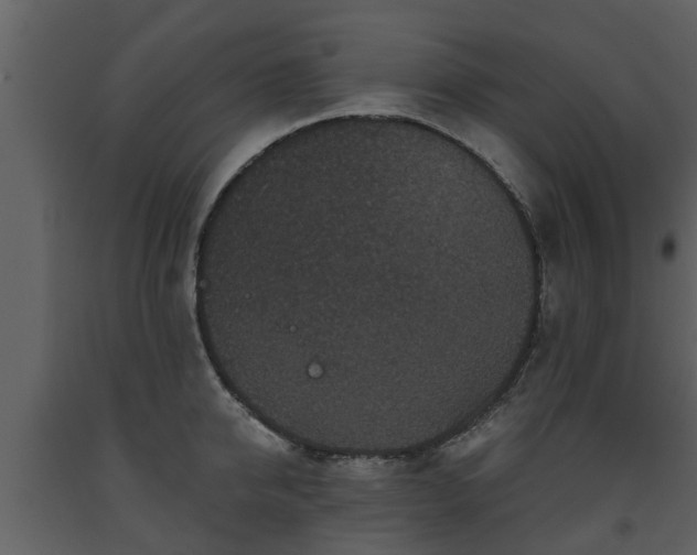 X0000093450950200710191100