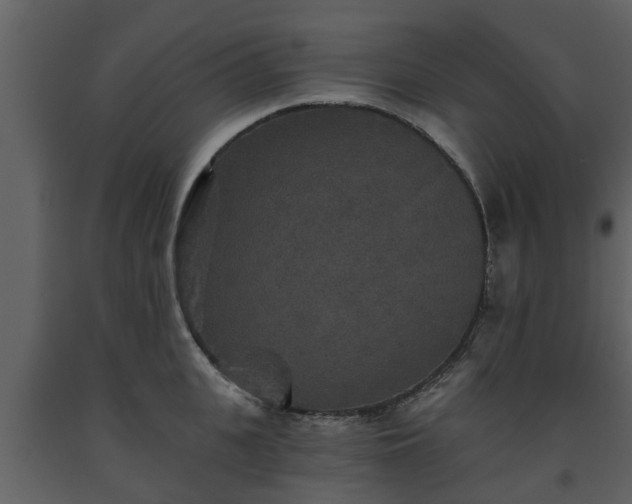 X0000093450951200710191100