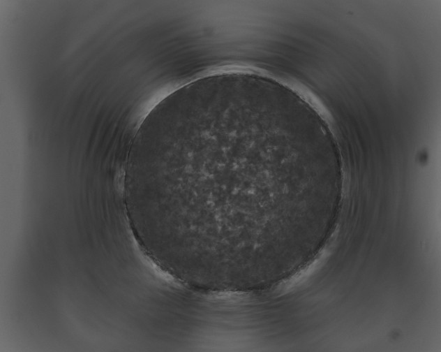 X0000093450953200710191100