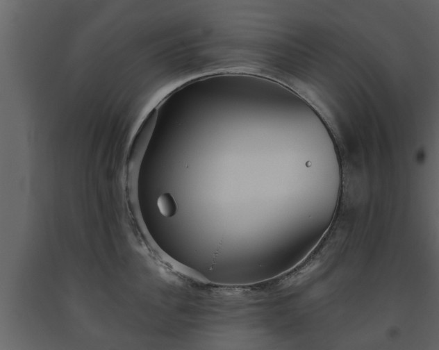 X0000093450956200710191100