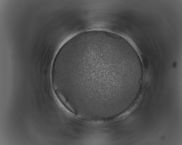 X0000093450957200710191100