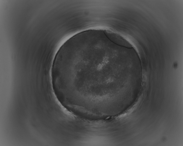 X0000093450959200710191100