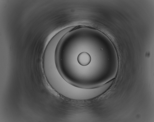 X0000093450960200710191100