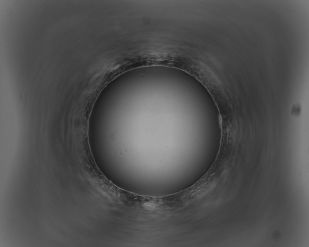 X0000093450961200710191059