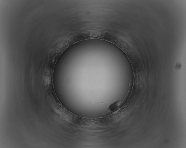 X0000093450962200710191059