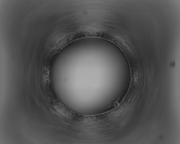 X0000093450964200710191059