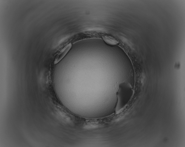 X0000093450965200710191059