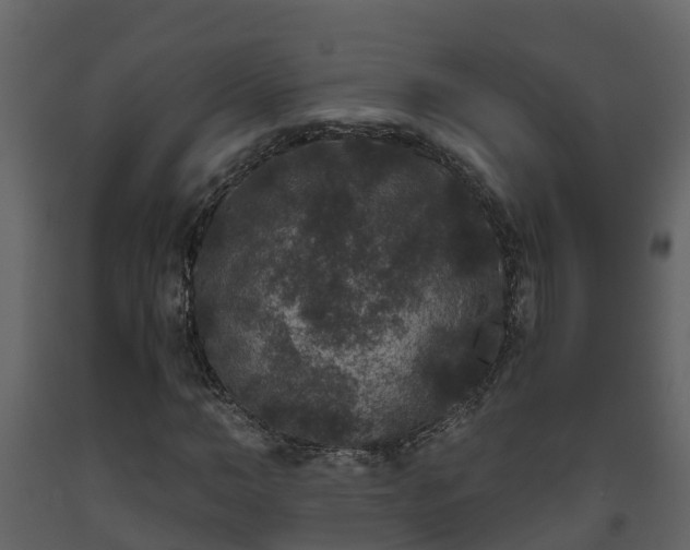 X0000093450966200710191059