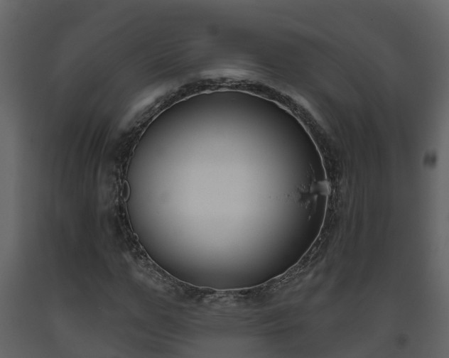 X0000093450967200710191059