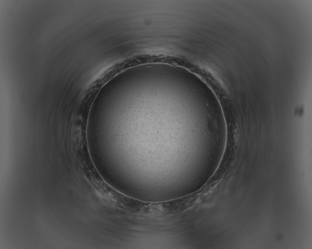 X0000093450968200710191059