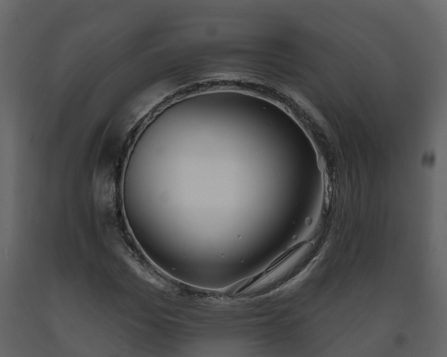 X0000093450969200710191059