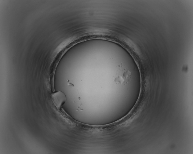 X0000093450970200710191059