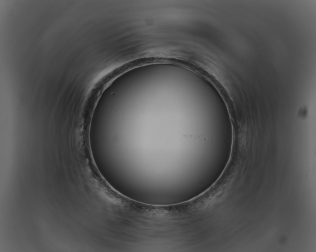 X0000093450971200710191059